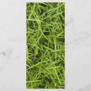 Programme de mariage pour le Jardin de l'herbe ver