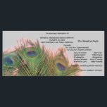 Programme de mariage rose et gris Peacock<br><div class="desc">Utilisez ces élégants programmes de mariage paon lors de votre cérémonie de mariage. Ce modèle de plumes paon sur votre programme apportera une touche spéciale à votre mariage à thème paon. Cette vie morte a été prise avec une lentille à oeil de poisson pour ajouter un effet doux autour des...</div>