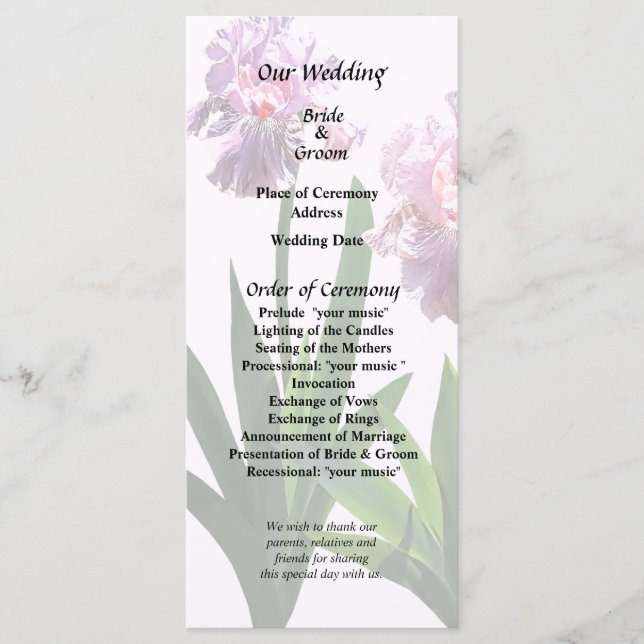 Programme Deux Iris roses (Devant)