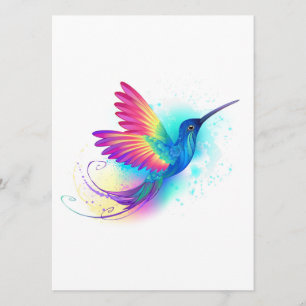 Programme Exotic Rainbow Hummingbird