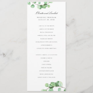 Programme Feuilles de verdure moderne Eucalyptus