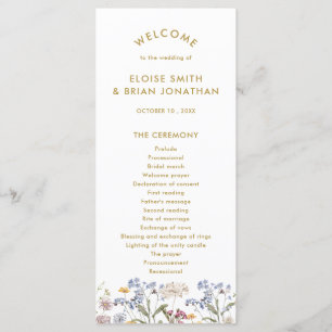 Programme Fleur sauvage de printemps coloré Meadow Gold Mari