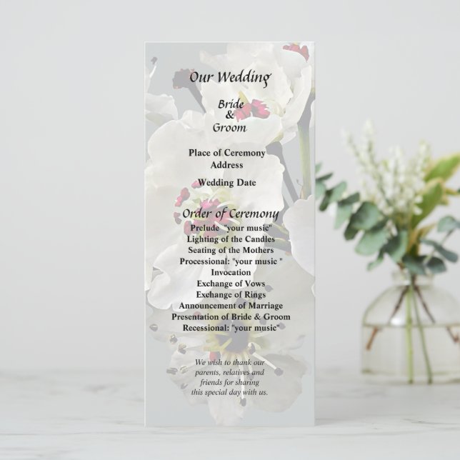 Programme Fleurs de poirier blanc en fleurs (Debout devant)