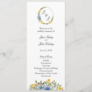 Programme Fleurs sauvages en couleurs primaires