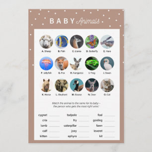 Programme Hiver thème Baby shower Jeu -Bébé Animaux