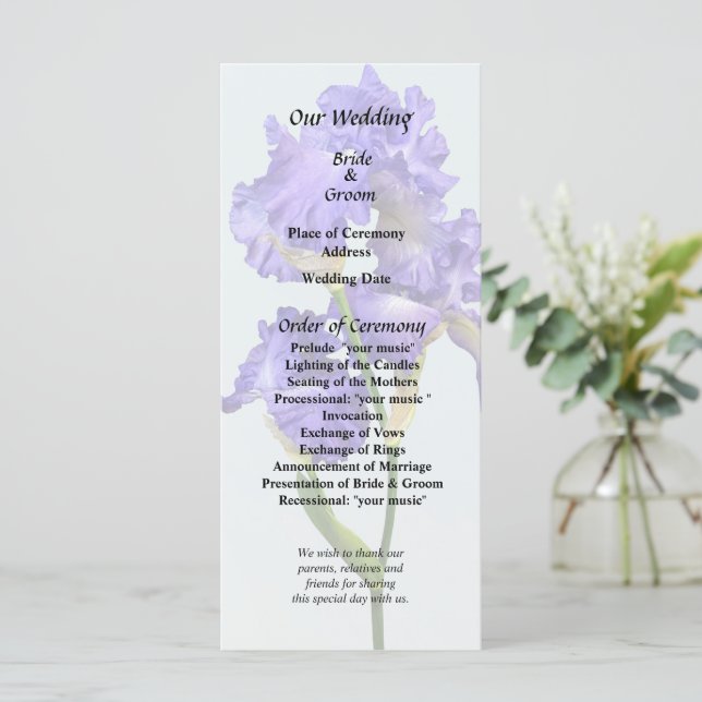 Programme Iris triple violet (Debout devant)