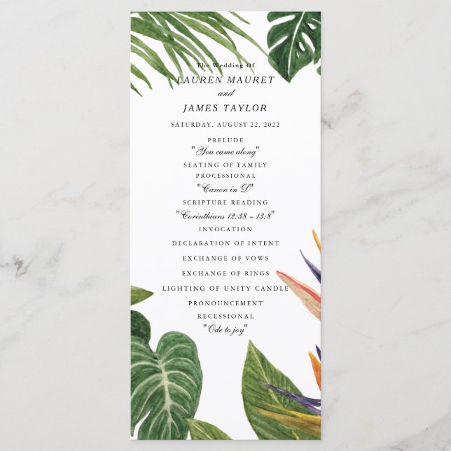 Programme Le rêve tropical (Devant)