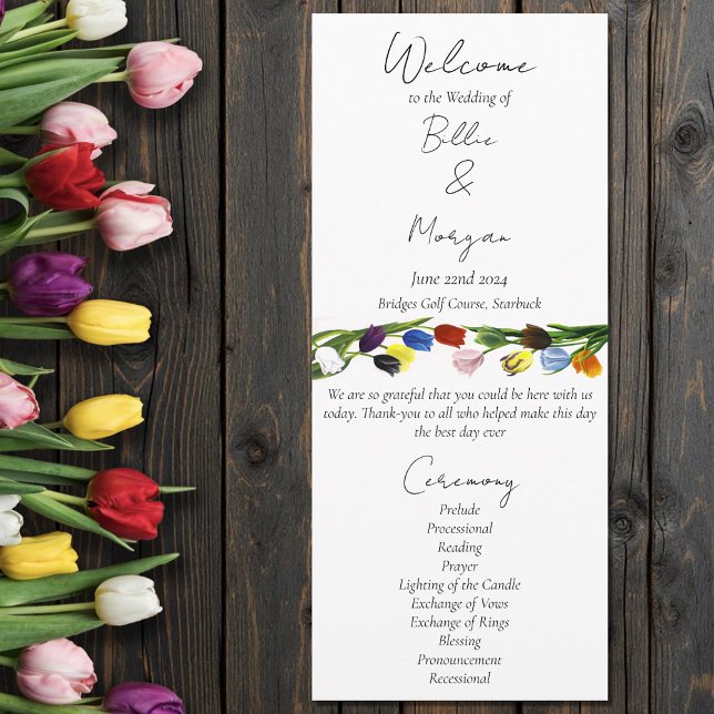 Programme LGBTQ plus Fleurs tulipes (Créateur téléchargé)