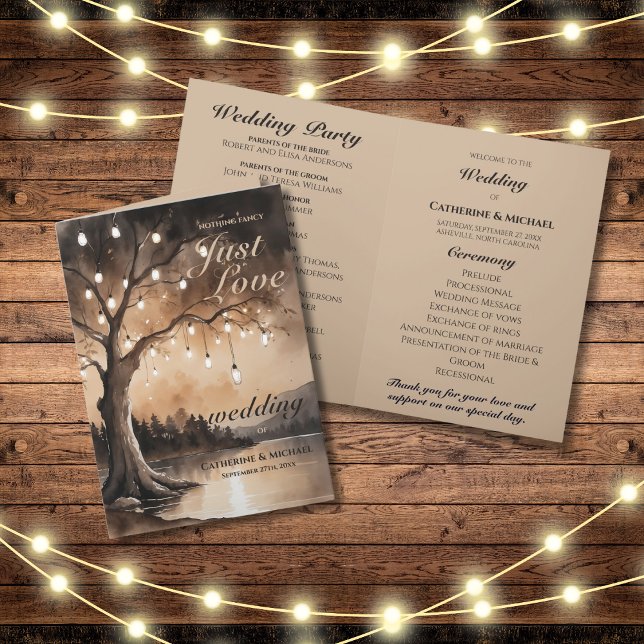 Programme Lumières À Chaînes Sur Le Mariage campagnard Roman (Flat lay barn wood fairy lights romantic country enchanted woodland forest light wedding program)