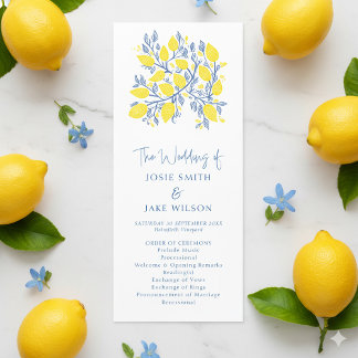 Programme Mariage botanique bleu et jaune