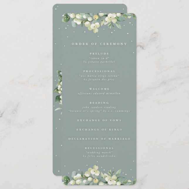 Programme Mariage d'hiver Seafoam Green Snowberry+Eucalyptus (Devant / Derrière)