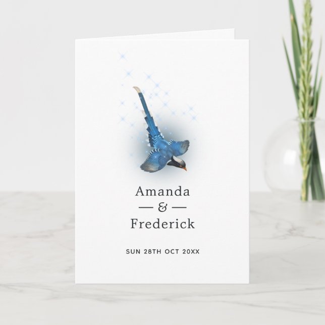 Programme Mariage d'oiseau de Fantaisie Étincelante (Devant)