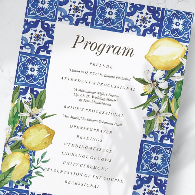 Programme Mariage moderne citron feuillage bleu méditerranée (Créateur téléchargé)