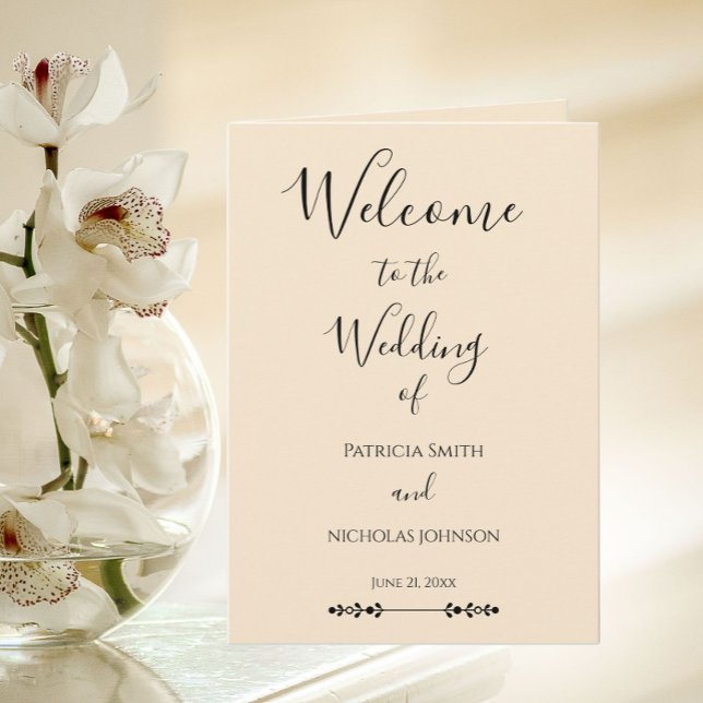 Programme Mariage Simple et Élégant avec Champagne (In Situ Wedding)