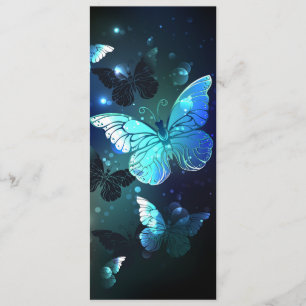 Programme Papillon de nuit