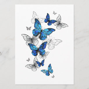 Programme Papillons volants bleus Morpho