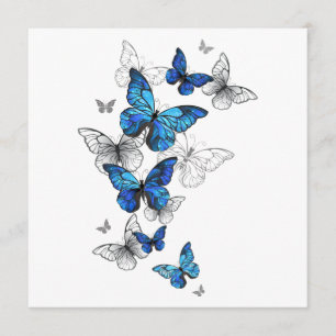 Programme Papillons volants bleus Morpho