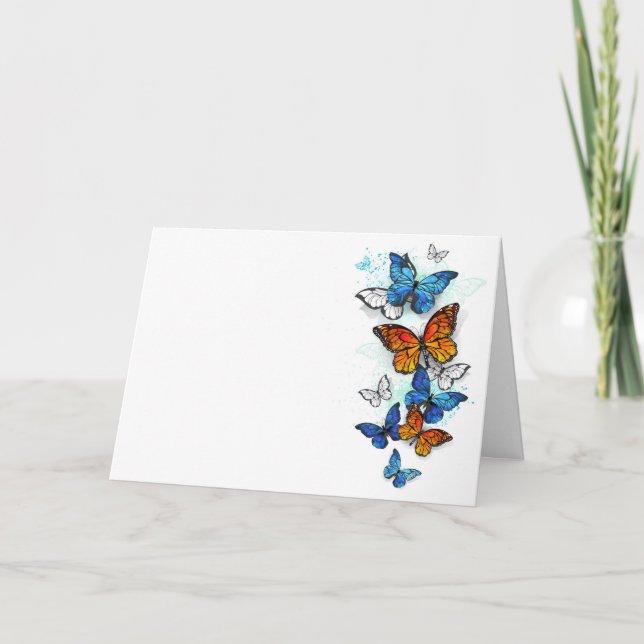 Programme Papillons volants Morpho et Monarch (Devant)