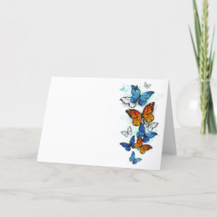 Programme Papillons volants Morpho et Monarch