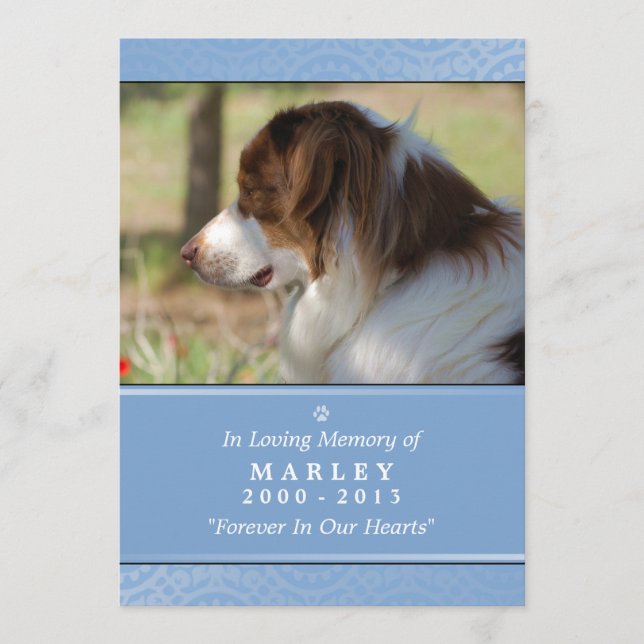 Programme Pet Memorial 5x7 bleu clair poème contenté (Devant)