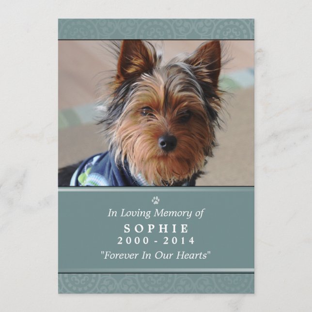 Programme Pet Memorial Card 5"x7" Turquoise Rainbow Bridge F (Devant)