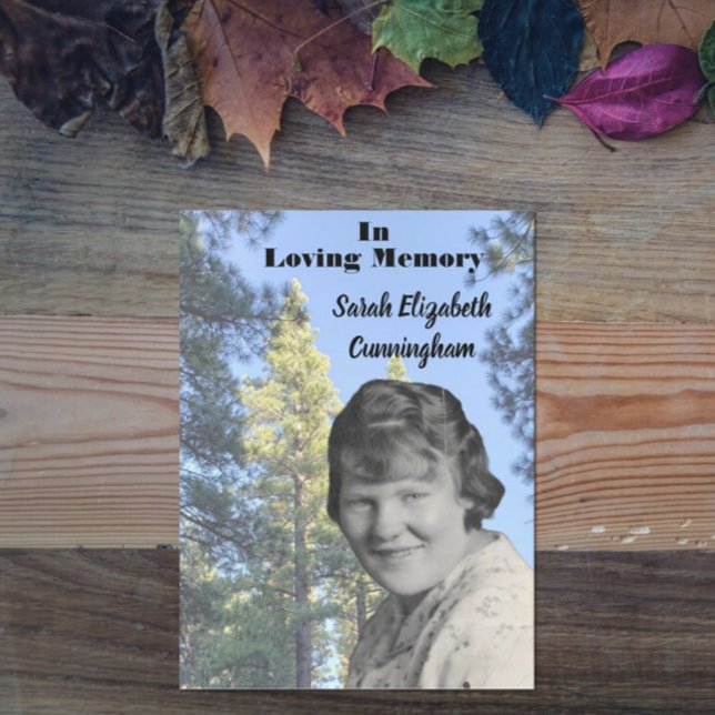 Programme Photo de l'arbre des pins (Créateur téléchargé)