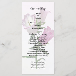 Programme Pink Canterbury Bells