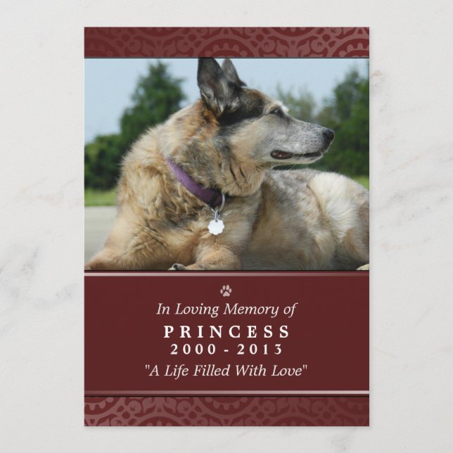 Programme Pont Arc-en-ciel (Female) de 5 po x 7 po (Devant)