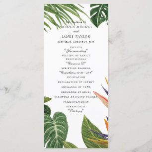 Programme Rêve tropical