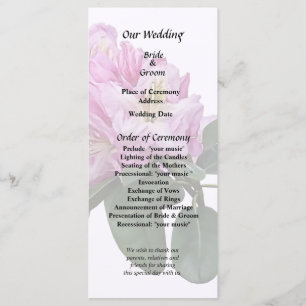 Programme Rhododendron rose