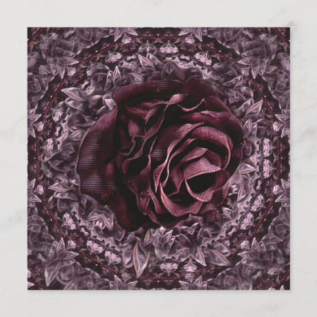 Programme Rose Mandala (Devant)