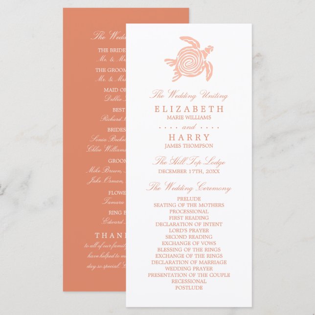 Programme Tortue de mer, Mariage de corail mou (Devant / Derrière)