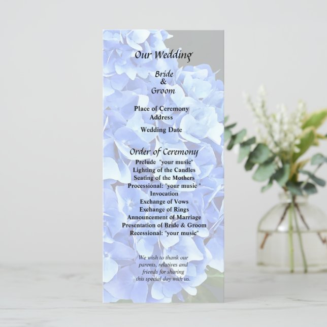 Programme Trois Hortensias Bleus (Debout devant)