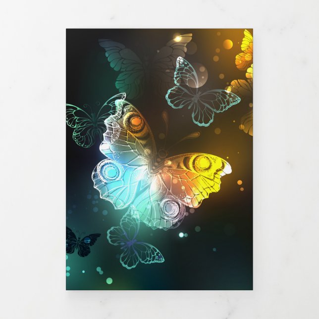 Programme Trois Volets Papillon lumineux et papillons de nuit (Page de couverture)
