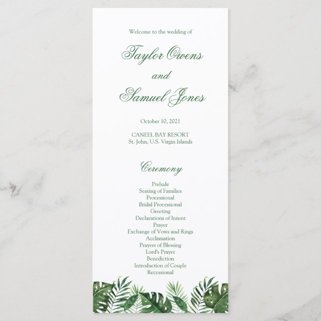 Programmes Tropical Palm Leaf (Devant)