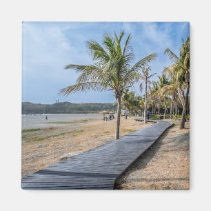 Promenade de la Plage aux Palmiers – Aimant de Voy
