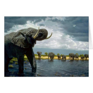 Promenade d'éléphant