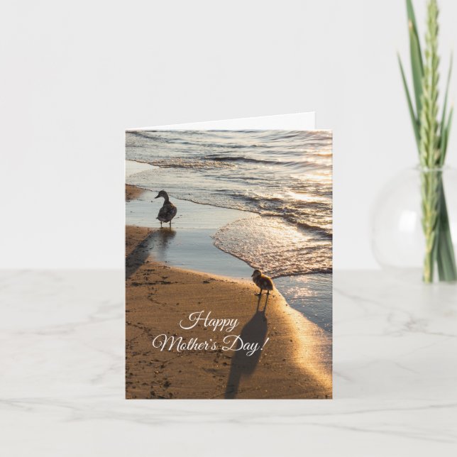 Promenade du coucher de soleil avec la carte mère (Devant)