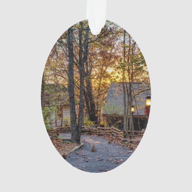 Promenade du coucher de soleil en bois d'automne (dos)