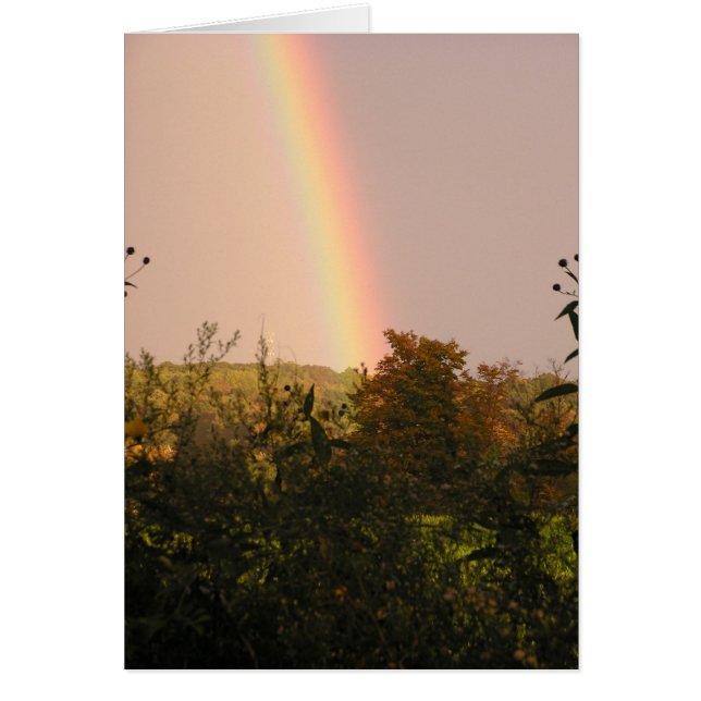 Promenade II d'arc-en-ciel (Devant)