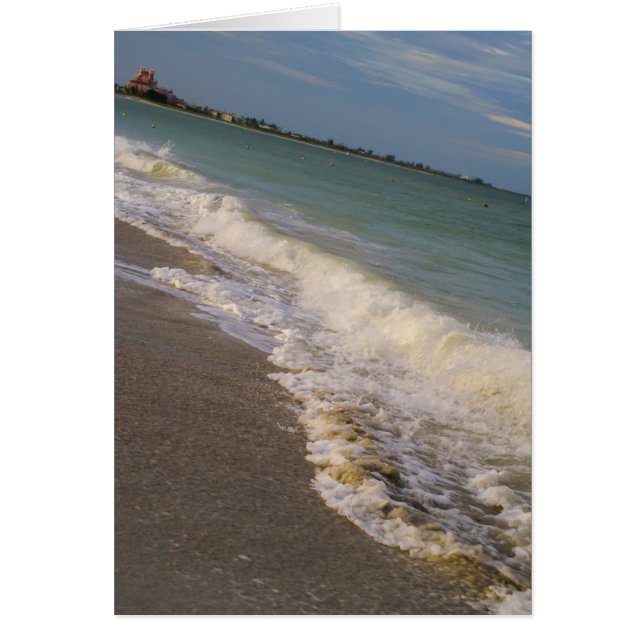Promenade Le Long De La Plage St Pete (Devant)
