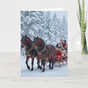 Promenades en traîneau et chutes de neige - Carte