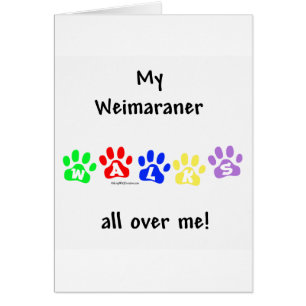 Promenades Weimaraner