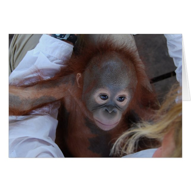 Promesse aux orphelins de la faune (Devant horizontal)