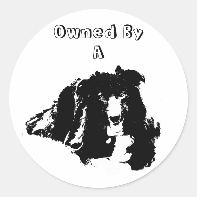 Propriété D'Un Collie Bordure Drôle Sticker Chien (Devant)