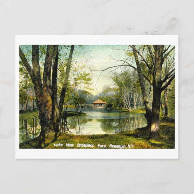 Prospect Park, Brooklyn NY, 1908 Carte postale Vin (Devant)