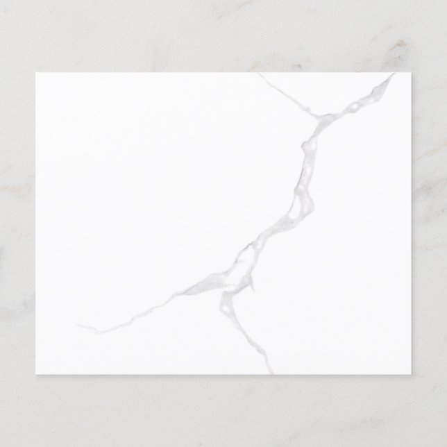 PROSPECTUS 11,4 CM X 14,2 CM   (Dos)