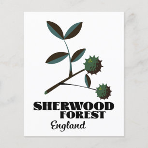 Prospectus 11,4 Cm X 14,2 Cm Affiche de voyage Sherwood Forest Angleterre
