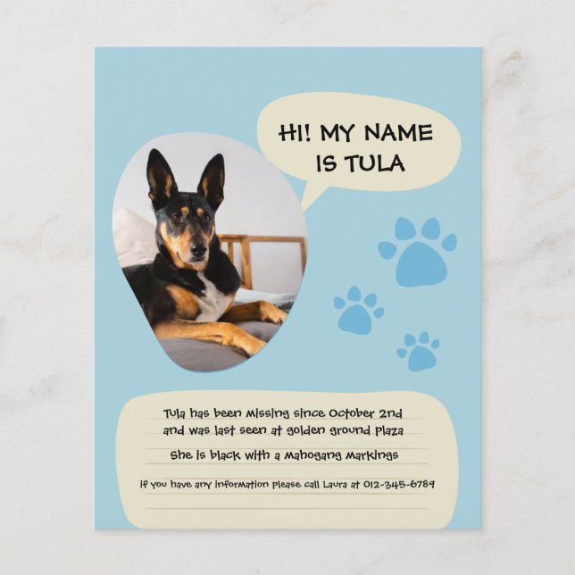 Prospectus 11,4 Cm X 14,2 Cm Affiche photo moderne bleu Chien manquant  (Devant)