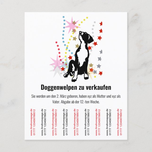 Prospectus 11,4 Cm X 14,2 Cm Annonce Chiots  (Devant)
